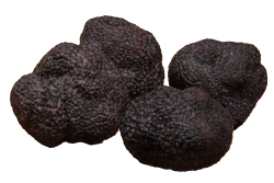Premium Black Truffles angellozzi Extra Selection