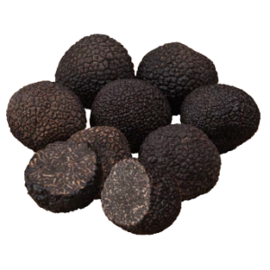 truffe noir angellozzi