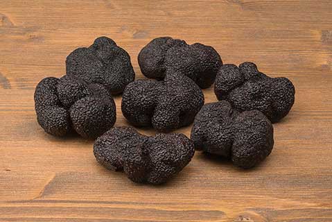 Premium Black Truffles angellozzi tartuficoltura