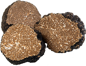 summer black truffle