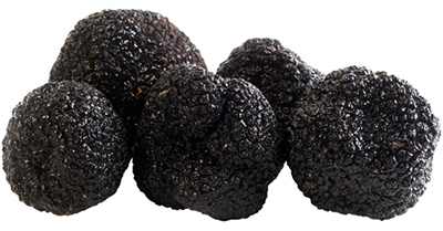 winter-black-truffle