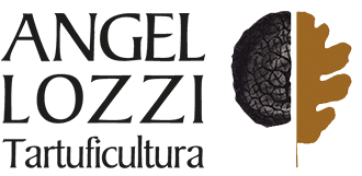 Logo Aziendale - Angellozzi Tartuficoltura